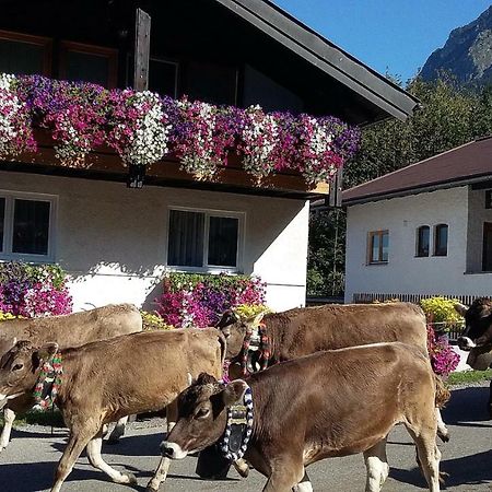 Ferienwohnung Schanzenblick 奥伯斯特多夫 外观 照片